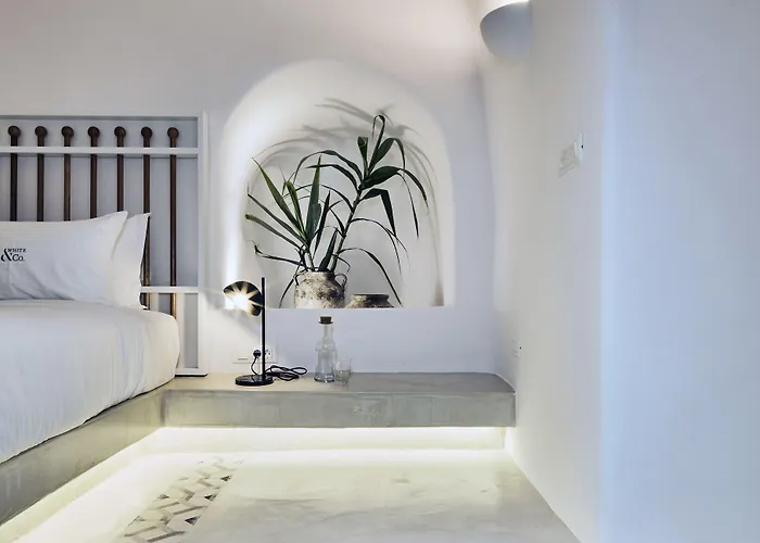 Villa White & Co. La Torre